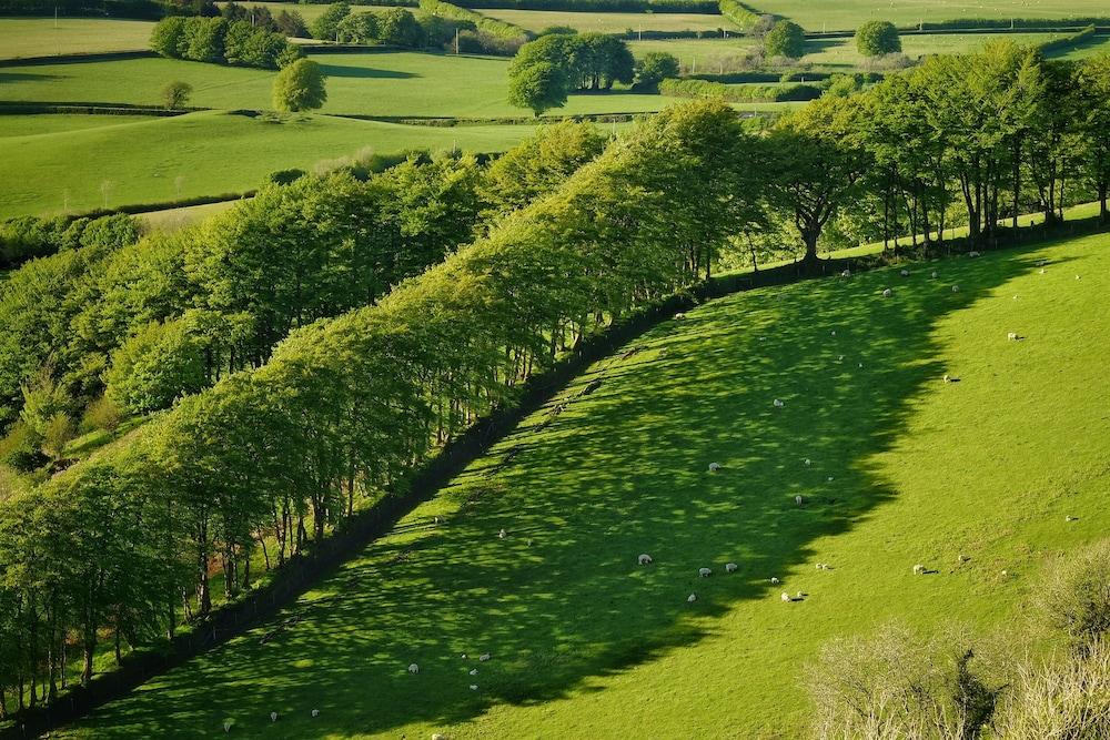 Exmoor White Horse 3* Exford
